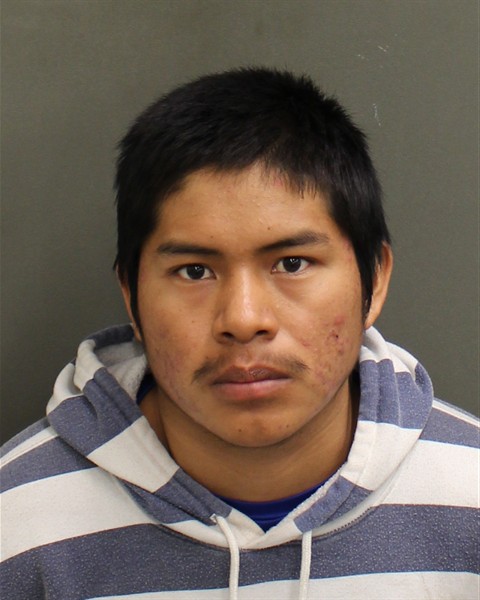  NOE DEJESUS DOMINGOVASQUEZ Photo Image