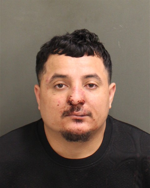  CHRISTIAN ALEXIS ESTRADAMERLOS Mugshot / County Arrests / Orange County Arrests