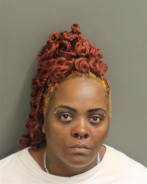  ELAINE LOUISE SIMPSON Mugshot / County Arrests / Orange County Arrests