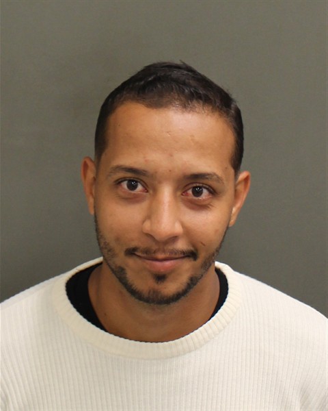  LUCAS VINICIUS FERREIRAPIZANI Mugshot / County Arrests / Orange County Arrests