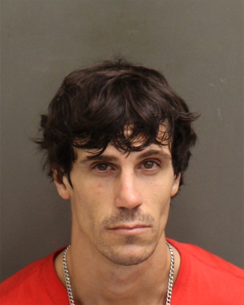  ELIJIAH STEEL HARTMAN Mugshot / County Arrests / Orange County Arrests