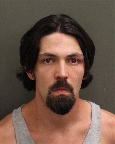 BRENDAN JOHN HORAN Mugshot / County Arrests / Orange County Arrests