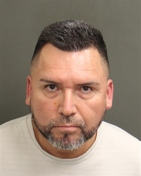  DAVID RENATO PIAGGIO Mugshot / County Arrests / Orange County Arrests