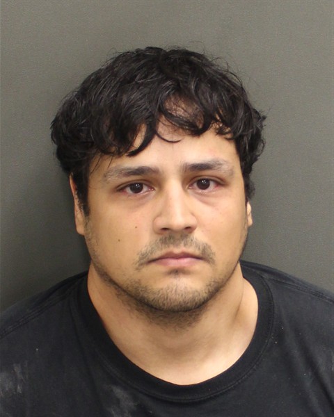  JOSHUA MATTHEW RIBOT Mugshot / County Arrests / Orange County Arrests