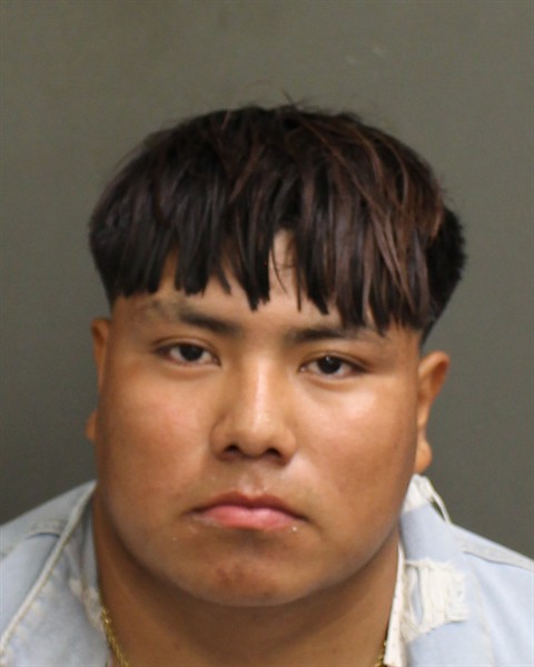  AMELI GOMEZMORALES Mugshot / County Arrests / Orange County Arrests