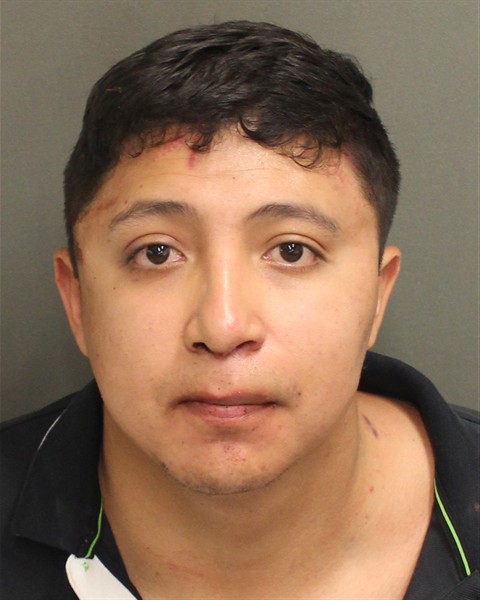  ALEJANDRO RUIZCUENCA Mugshot / County Arrests / Orange County Arrests