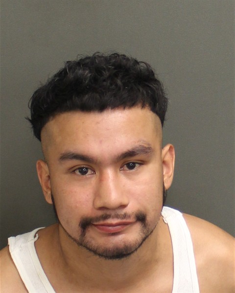  HECTOR CERERO Mugshot / County Arrests / Orange County Arrests