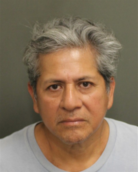  JULIO JAVIER ROSALES Mugshot / County Arrests / Orange County Arrests