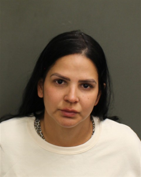  ERINEL DEL VALLE VILLEROBERMUDEZ Mugshot / County Arrests / Orange County Arrests
