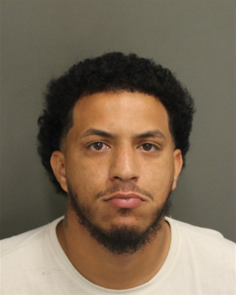  LUIS ORLANDO DIAZARANA Mugshot / County Arrests / Orange County Arrests