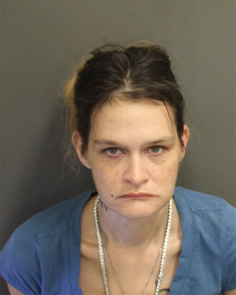  MELISSA SUE HODGES Photo Image