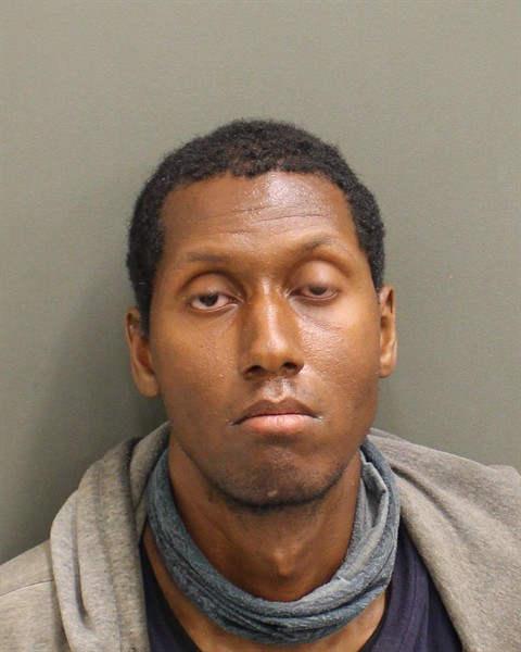  TIMOTHY MICHAEL RICARD Mugshot / County Arrests / Orange County Arrests