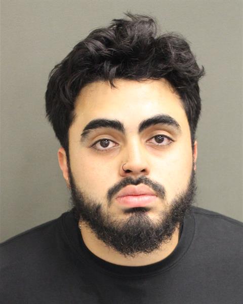  LUIS ALFREDO PEREIRAALICEA Mugshot / County Arrests / Orange County Arrests