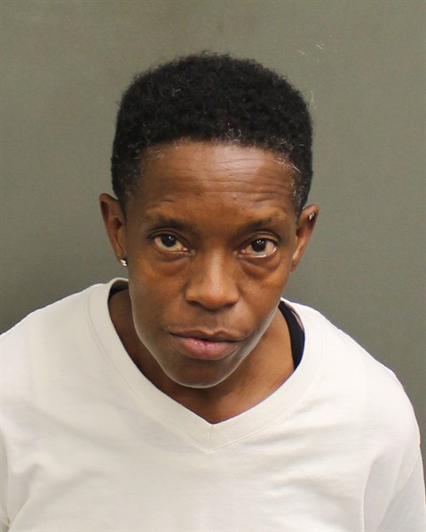  CARLA MICHELLE TURNER Mugshot / County Arrests / Orange County Arrests