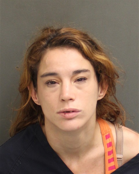  SUZANNE MARIE DUPUY Mugshot / County Arrests / Orange County Arrests