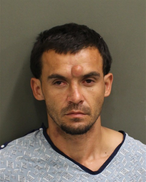  JOSHUA JEROME SHEPHERD Mugshot / County Arrests / Orange County Arrests