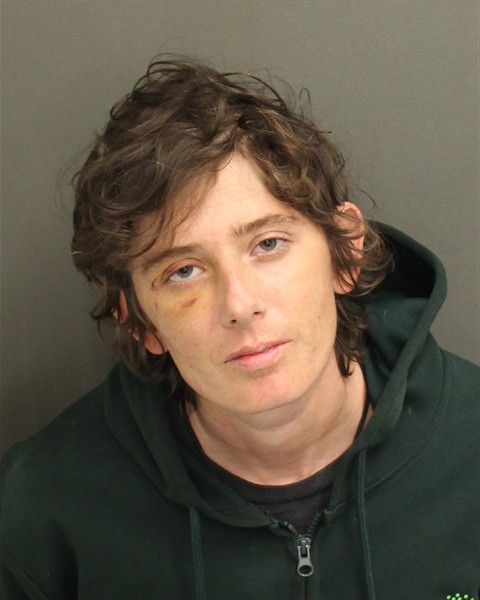  DOMINIQUE ELIZABETH CARULLI Mugshot / County Arrests / Orange County Arrests