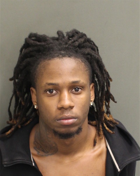  LOWENSKY ST LOUIS Mugshot / County Arrests / Orange County Arrests