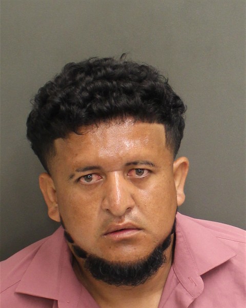  CRISTHIAN ENRRIQUE CASTANEDAALVARADO Mugshot / County Arrests / Orange County Arrests
