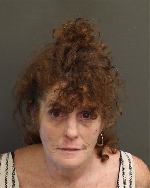  LARRAINE ANN HENSON Mugshot / County Arrests / Orange County Arrests