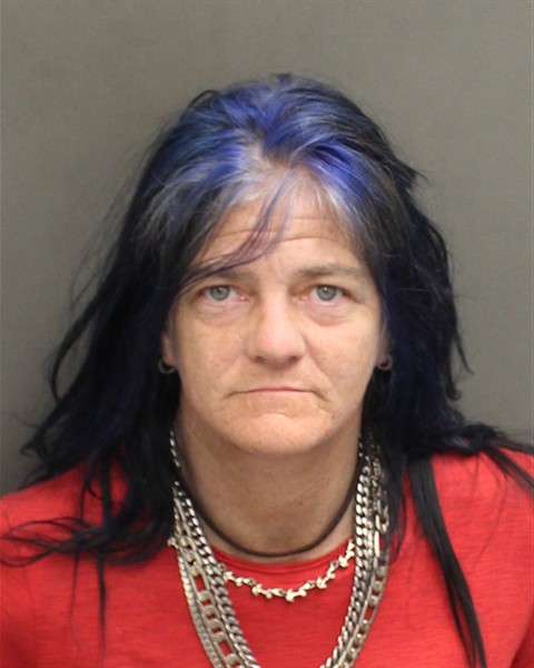  LESLIE CAROL TAYLOR Mugshot / County Arrests / Orange County Arrests