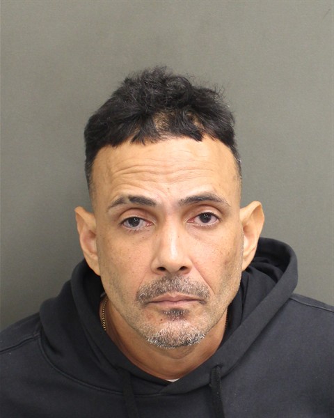  RICARDO REYES Mugshot / County Arrests / Orange County Arrests