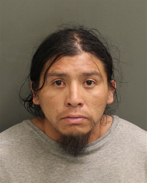  BRET LEE TIGER Photo Image