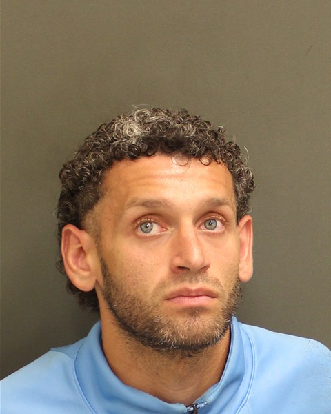  HECTOR REYNA Mugshot / County Arrests / Orange County Arrests