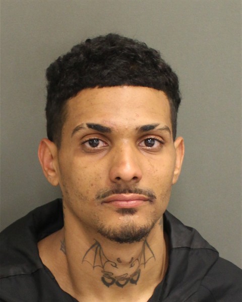  ROBERT ALEXANDER CORREANUNEZ Mugshot / County Arrests / Orange County Arrests