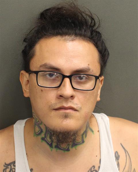  LUIS FERNANDO IBANEZ Mugshot / County Arrests / Orange County Arrests
