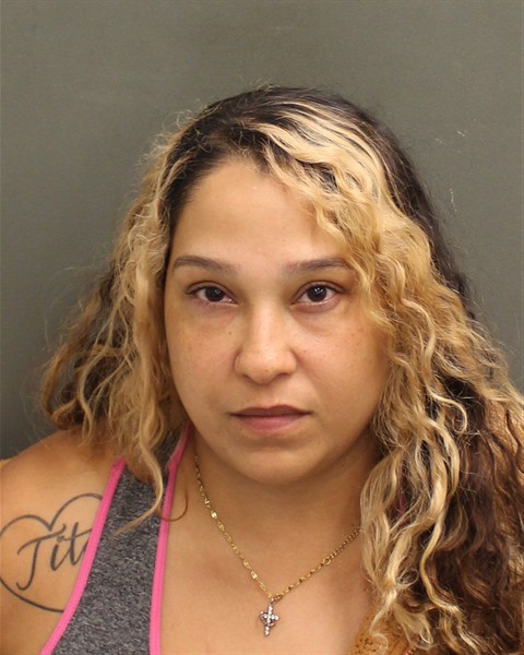  JANISHKA ROMAN NIEVES Mugshot / County Arrests / Orange County Arrests
