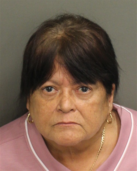  ELENITA DOMENECH Mugshot / County Arrests / Orange County Arrests