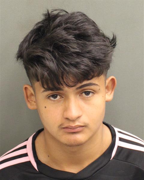  MARLON TOEL PEREIRAORELLANA Mugshot / County Arrests / Orange County Arrests