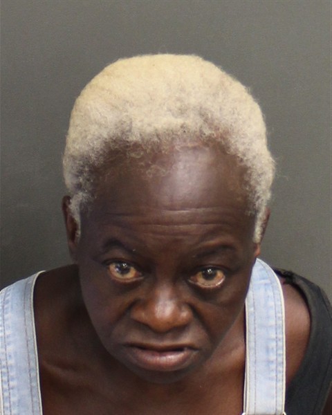  BARBARA ELAINE HOOKS Mugshot / County Arrests / Orange County Arrests