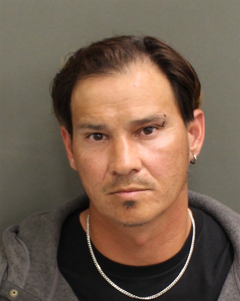  DAVID MAXIMO PINEDO Mugshot / County Arrests / Orange County Arrests