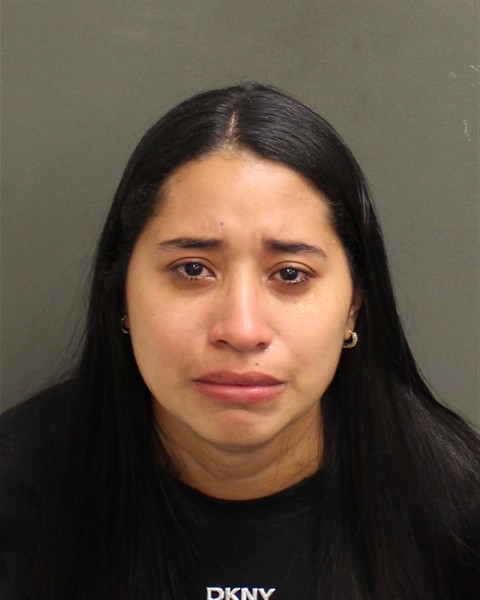  INGRID ROSEROMUNOZ Mugshot / County Arrests / Orange County Arrests