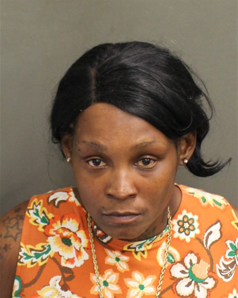  DEMETRIA SHAWNTA CHILDERS Mugshot / County Arrests / Orange County Arrests
