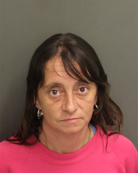  JENNIE MARIE PINSON Mugshot / County Arrests / Orange County Arrests