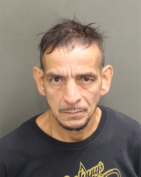  LUIS ENRIQUE FEBO Mugshot / County Arrests / Orange County Arrests