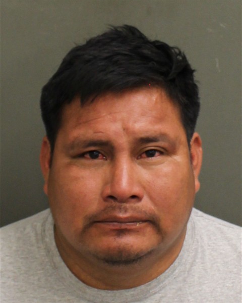  ERNESTO ANDRESDOMINGO Mugshot / County Arrests / Orange County Arrests