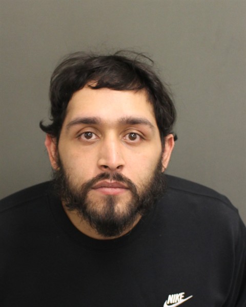  GIOVANNI ANTONIO VALCARCEL Mugshot / County Arrests / Orange County Arrests