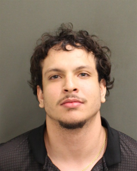  SEBASTIAN FABIAN Mugshot / County Arrests / Orange County Arrests