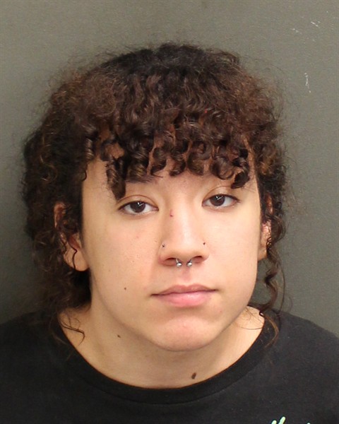  DESTINY MARIE SOLIVAN Mugshot / County Arrests / Orange County Arrests