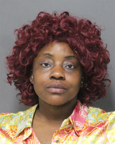  LOURDES D VALERY Mugshot / County Arrests / Orange County Arrests