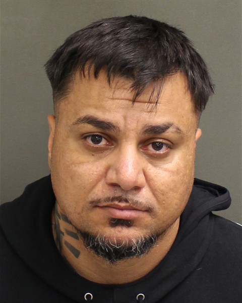  ALIN IORDACHE Mugshot / County Arrests / Orange County Arrests