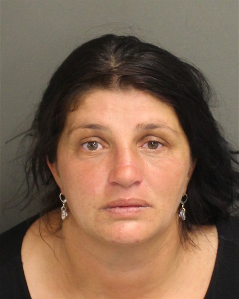  ELENAMONA IORDACHE Mugshot / County Arrests / Orange County Arrests