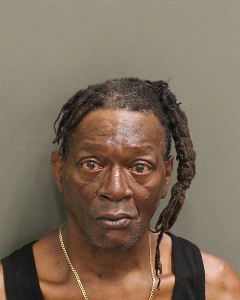  ELLIS LEE JONES Mugshot / County Arrests / Orange County Arrests