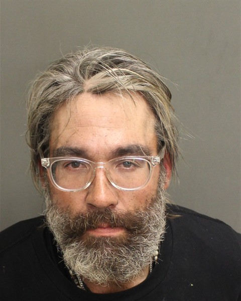  WILLIAM J JAMES Mugshot / County Arrests / Orange County Arrests