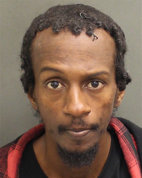  YUNISE ALEMSEGED GEBRAIL Mugshot / County Arrests / Orange County Arrests