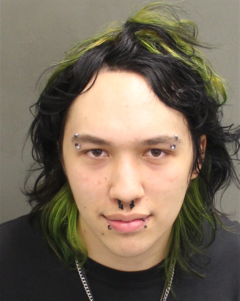  MITCHELL JAYCE WOFFORD Mugshot / County Arrests / Orange County Arrests